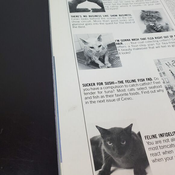 CATMOPOLITAN Magazine Humorous Tribute to Cats by Ilene Hochberg 1987 - Picture 10 of 16
